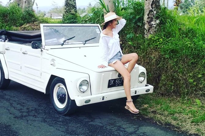 Daily VW Tour - Ubud VW Tour - Temples, rice terraces, and landmarks: the heart of the route
