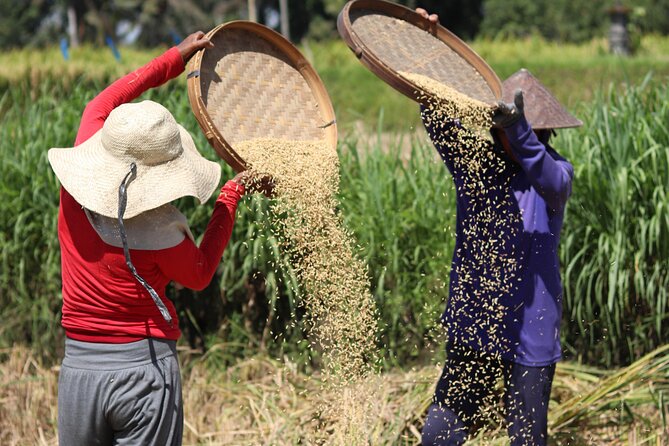 Day with a Balinese Family in a Village - Balinese Offerings: Leaf and Fiber Craft With Meaning