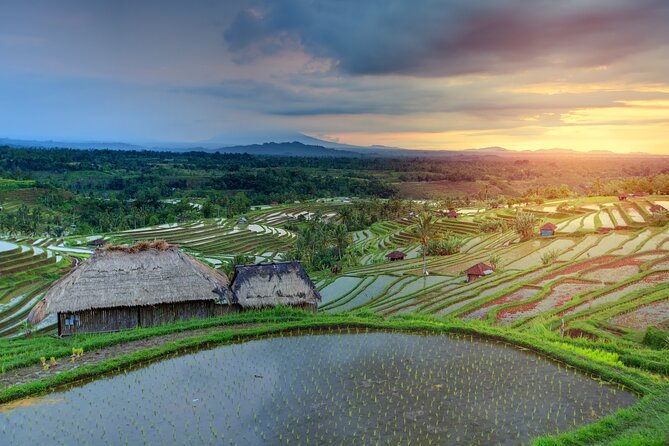 Discover Hidden Waterfall, Unesco Rice Terraces and Mountain Temple - Why This Ubud Waterfall and Rice-Terrace Route Feels Different