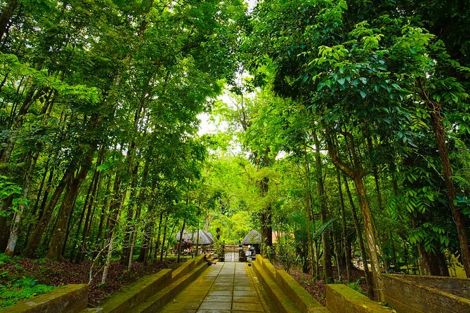 Discover Hidden Waterfall, Unesco Rice Terraces and Mountain Temple - Stop 2: UNESCO Jatiluwih Rice Terraces and Irrigation Walk