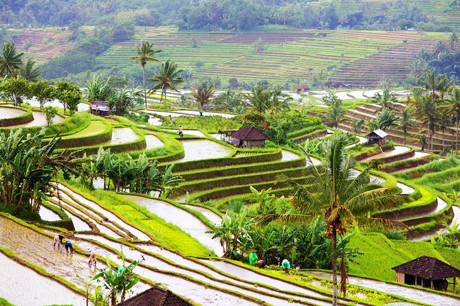 Discover Hidden Waterfall, Unesco Rice Terraces and Mountain Temple - Lunch, Timing, and How to Plan Your Day