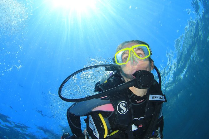 Discover Scuba Diving - Pickup, drop-off, and the real value of a small group