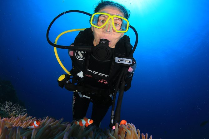 Discover Scuba Diving - The price, and why it can still be a smart deal