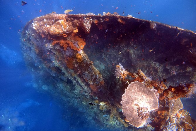 Discover Scuba Diving - The 5-hour schedule, what you get and what you do not