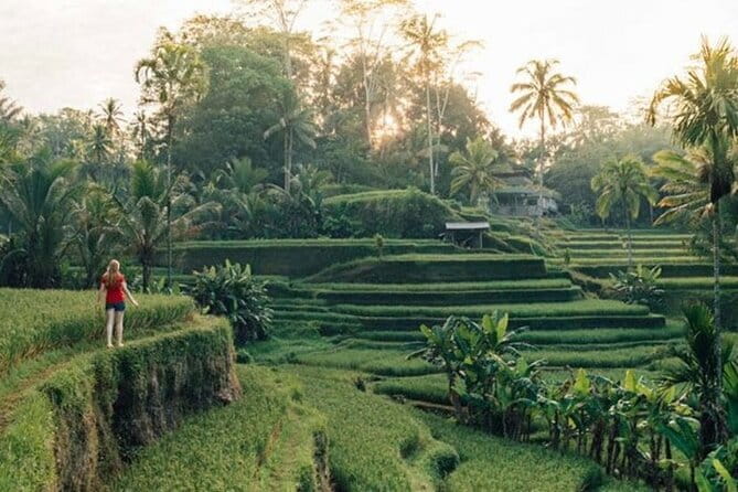 Discover The Best North of Bali with Private Guide Tour - Key Points You’ll Appreciate