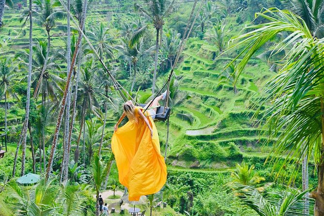 Discover The Best of Ubud: All-Inclusive and Private Guided Tour - Why this “best of Ubud” day works so well