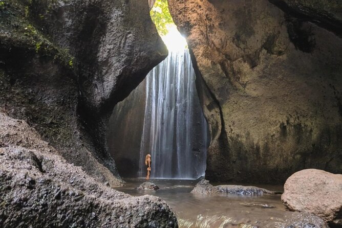 Discover the best waterfalls in Ubud and rice terraces tour - Sacred Monkey Forest Sanctuary: 700 macaques and staying in control