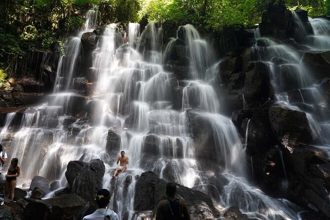 Discover the best waterfalls in Ubud and rice terraces tour - Price and value: what you get for $47.50
