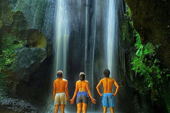 Discover the best waterfalls in Ubud and rice terraces tour - What kind of traveler this fits best