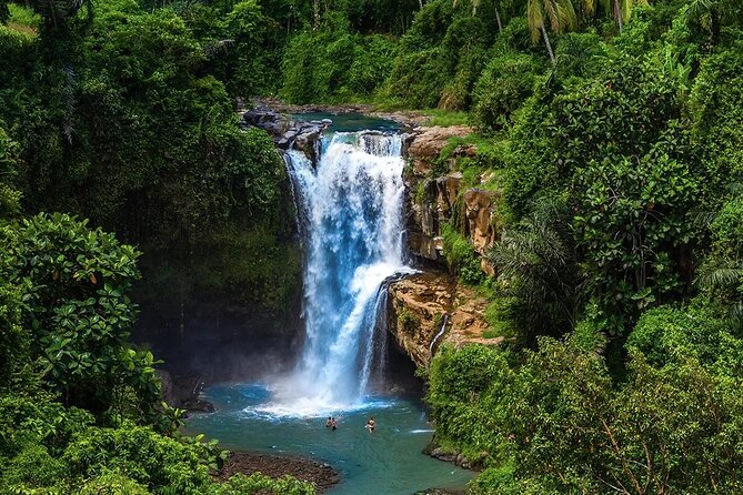 Discover Ubud: Exotism Ubud and Optional Meet the Bali Shaman - Private transportation with WiFi, and how it changes your day