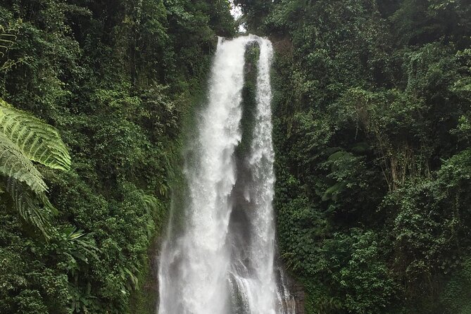 Dolphin Tour and Sunrise Watching in Lovina Beach - All Inclusive - Optional waterfall and temple stops, when to add them