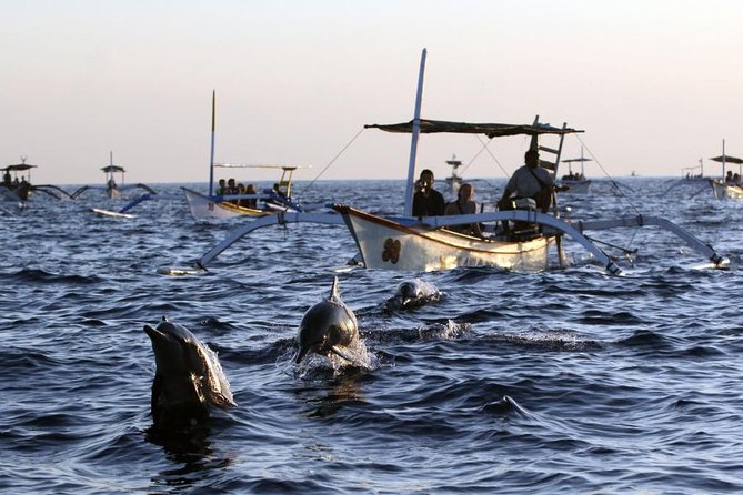Dolphin Tour and Sunrise Watching in Lovina Beach - All Inclusive - Lovina Beach dolphins, sunrise, and what the glass-bottom boat changes
