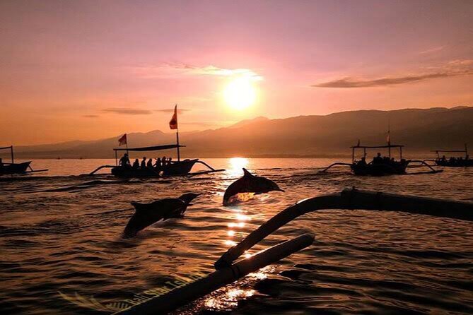 Dolphin Watching Tour, Swimming with Dolphins and Snorkeling - Why Lovina works for dolphins (and sunrise)