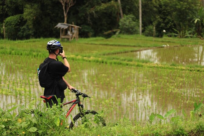 Downhill Cycling Ubud with Volcano, Rice Terrace and Educational - Bikes, helmets, and safety: what to check so the day stays fun