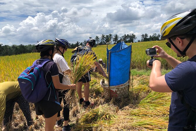 Downhill Cycling Ubud with Volcano, Rice Terrace and Educational - Who should book this downhill cycling tour from Ubud