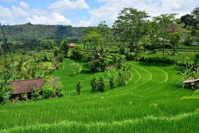 East Bali Tour: Gate of Heaven, Water Palace, Sleeping Gajah - Who this East Bali itinerary fits best