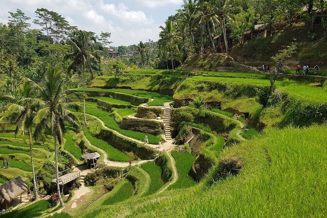 East of Bali Tour with Lempuyang Temple, Waterfall, Tirta gangga - Price and Value: Is $63 Worth It?