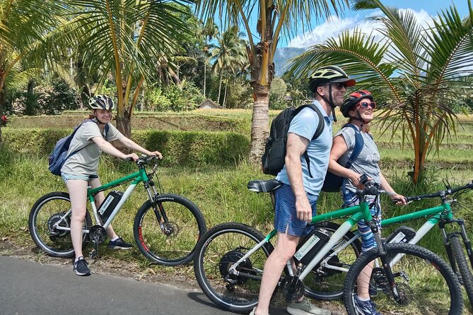 Electric bicycle tour in Jatiluwih UNESCO site - Key things to know before you ride