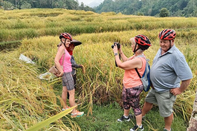 Electric bicycle tour in Jatiluwih UNESCO site - Getting to Batukaru Temple: the transfer plan that keeps you calm