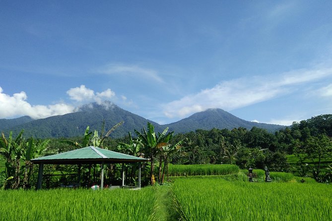 Electric bicycle tour in Jatiluwih UNESCO site - Temple-to-terrace pacing: why the timing works for real sightseeing