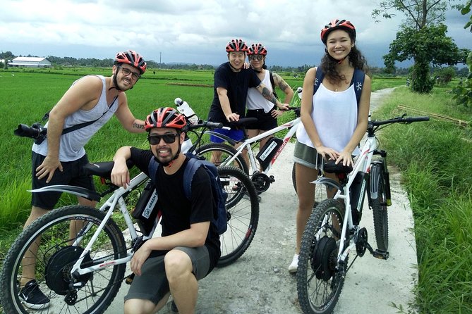 Electric bicycle tour in Jatiluwih UNESCO site - Who the e-bike tour is best for (and who should reconsider)