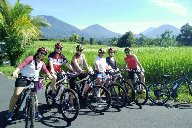 Electric bicycle tour in Jatiluwih UNESCO site - The first cycling stretch: bamboo, jungle edges, and village roads