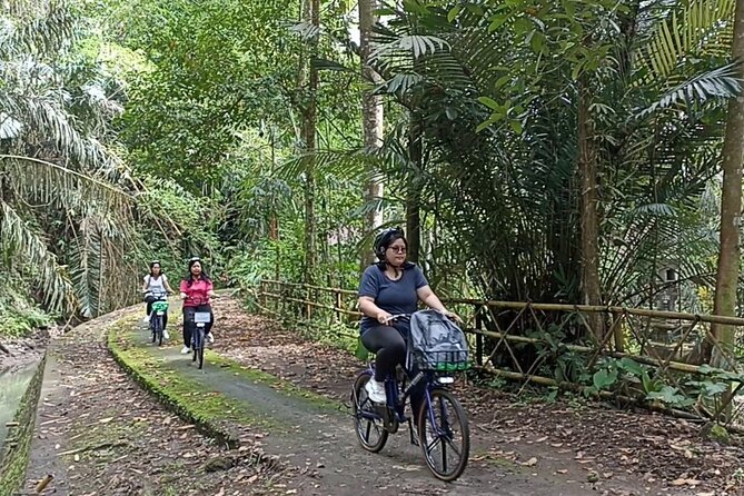 Electric bicycle tour in quaint South Ubud - Electric-Assisted Countryside: The Real Point of E-bikes in Ubud