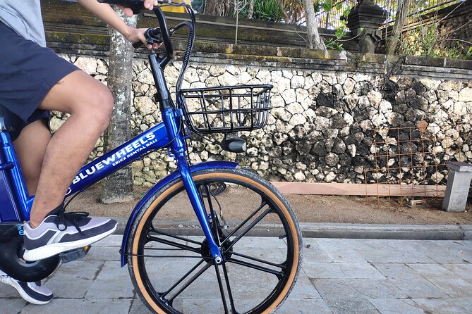 Electric bicycle tour in quaint South Ubud - Price and What You Actually Receive for $49