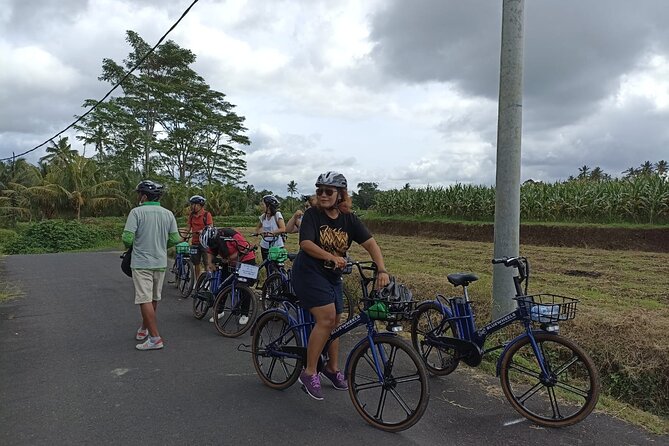 Electric bicycle tour in quaint South Ubud - Pickup, Morning or Afternoon, and Why Timing Matters