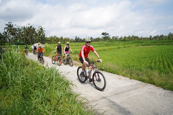 Electric Bike and Swing Package - Key highlights worth planning for