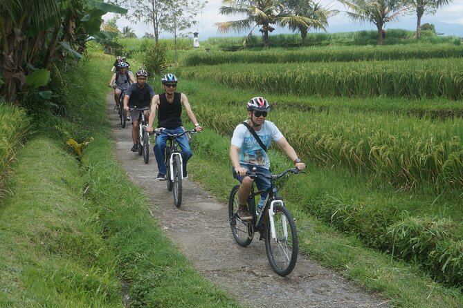 Electric Bike and Swing Package - Lunch at Greenkubu and swing photo time