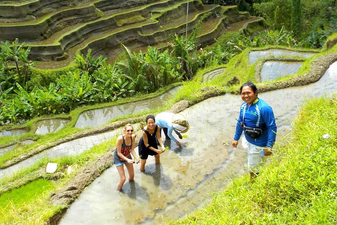 Electric Cycling Tour of Ubud with Free Hotel Transfer and Lunch - Price and value: why $41 can work if you want convenience