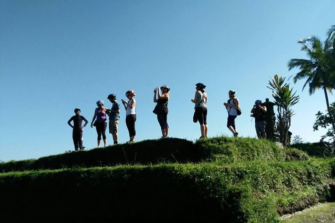 Electric Cycling Tour of Ubud with Free Hotel Transfer and Lunch - Who should book this electric cycling tour of Ubud
