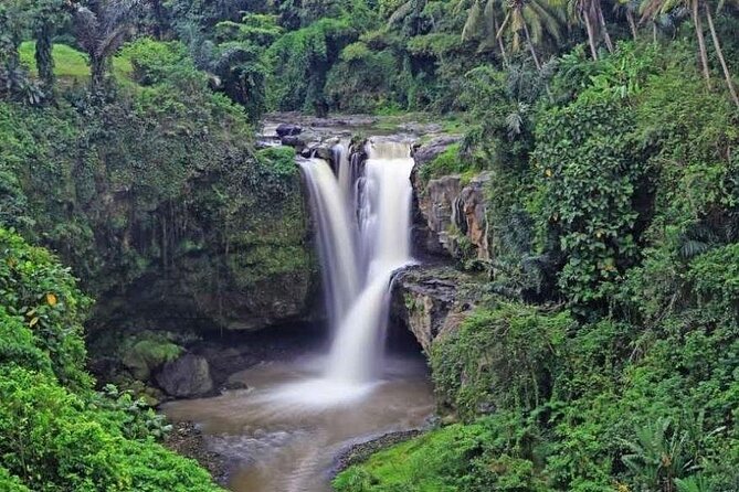 Exclusive Ubud Experience: Nature, Culture & Adventure in One Day - Hotel pickup at 8:30, then straight into real Ubud