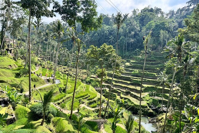 Exclusive Ubud Experience: Nature, Culture & Adventure in One Day - Lunch at Warung Dewa Malen: a simple, local reset