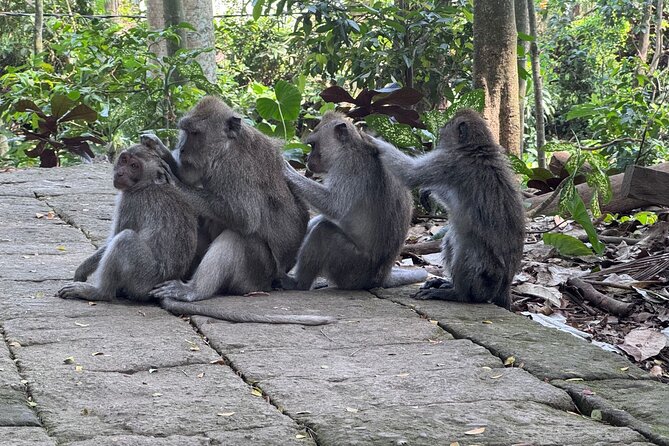 Exclusive Ubud Experience: Nature, Culture & Adventure in One Day - Private guide names you might recognize from real-world experience