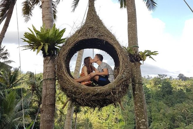 Experience Full Day to Bali Swing Temple and Monkey Forest - Picheaven Bali Swing: the 5m to 20m adrenaline window
