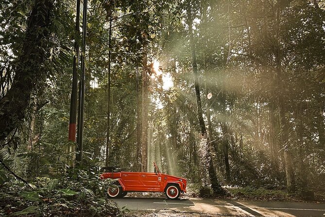 Explore Bali's Hidden Gems In a Classic Vw Convertible - Tegalalang Rice Terraces and the Subak Irrigation System