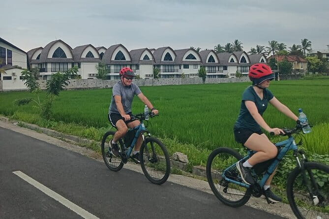 Explore Rice Fields and Hidden Villages with Ubud E-Bike Tour - Price and Time: Is $44.07 a Good Deal for a 4.5-Hour Private Tour?