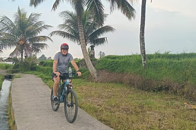 Explore Rice Fields and Hidden Villages with Ubud E-Bike Tour - Stop 2: Jalan Pejengaji Hindu Temple Visit (30 Minutes)
