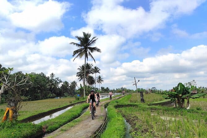 Explore Rice Fields and Hidden Villages with Ubud E-Bike Tour - Stop 3: Tegallalang Rice Terrace for an Hour (Ticket Included)