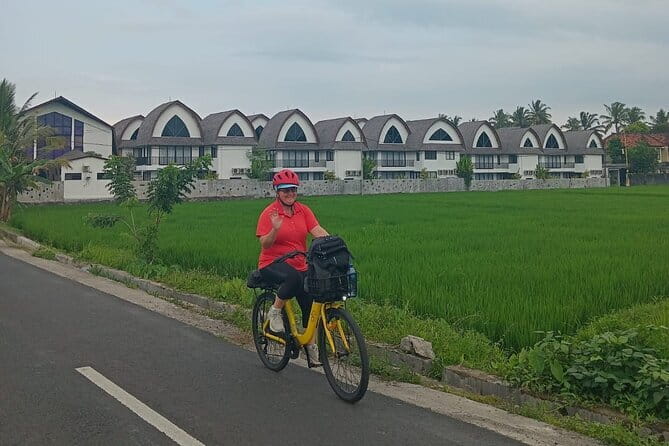 Explore Rice Fields and Hidden Villages with Ubud E-Bike Tour - Pickup, Bikes, and Safety: What the First 30 Minutes Feels Like