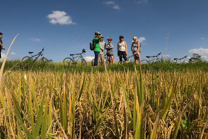 Explore Ubud with Electric Bike - Why a Ubud e-bike is a smart half-day choice