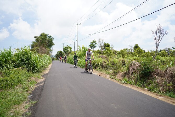 Explore Ubud with Electric Bike - Tegalalang rice terraces: a quick photo pass with big payoff