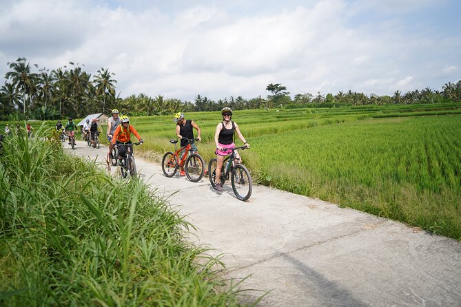 Explore Ubud with Electric Bike - A Balinese house visit in Tegallalang: everyday culture, not a script