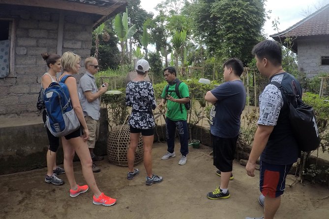 Explore Ubud with Electric Bike - Getting ready: moderate fitness, and the motorbike-like riding feel