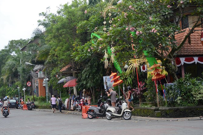 Famous Ubud villlage and Dance Tour with Rice Terrace And Waterfall Visit - Tegalalang rice terraces, when the views do the talking