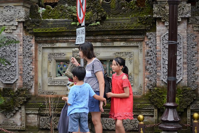 Famous Ubud villlage and Dance Tour with Rice Terrace And Waterfall Visit - Tegenungan Waterfall, the photo stop that closes the loop