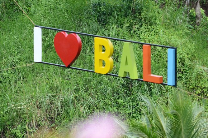 Famous Ubud villlage and Dance Tour with Rice Terrace And Waterfall Visit - Price and logistics, what you are paying for at about $49.85