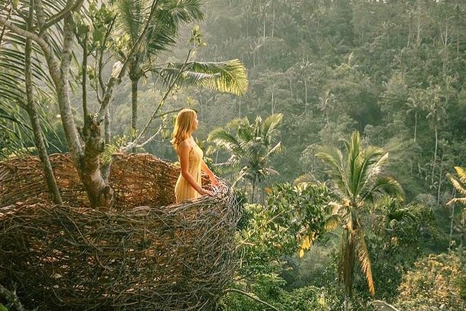 Fantastic Ubud Tour with Jungle Swing - Tegalalang Rice Terrace: how to appreciate the views without rushing